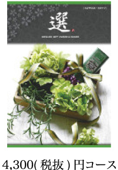 4,300(税抜)円コース